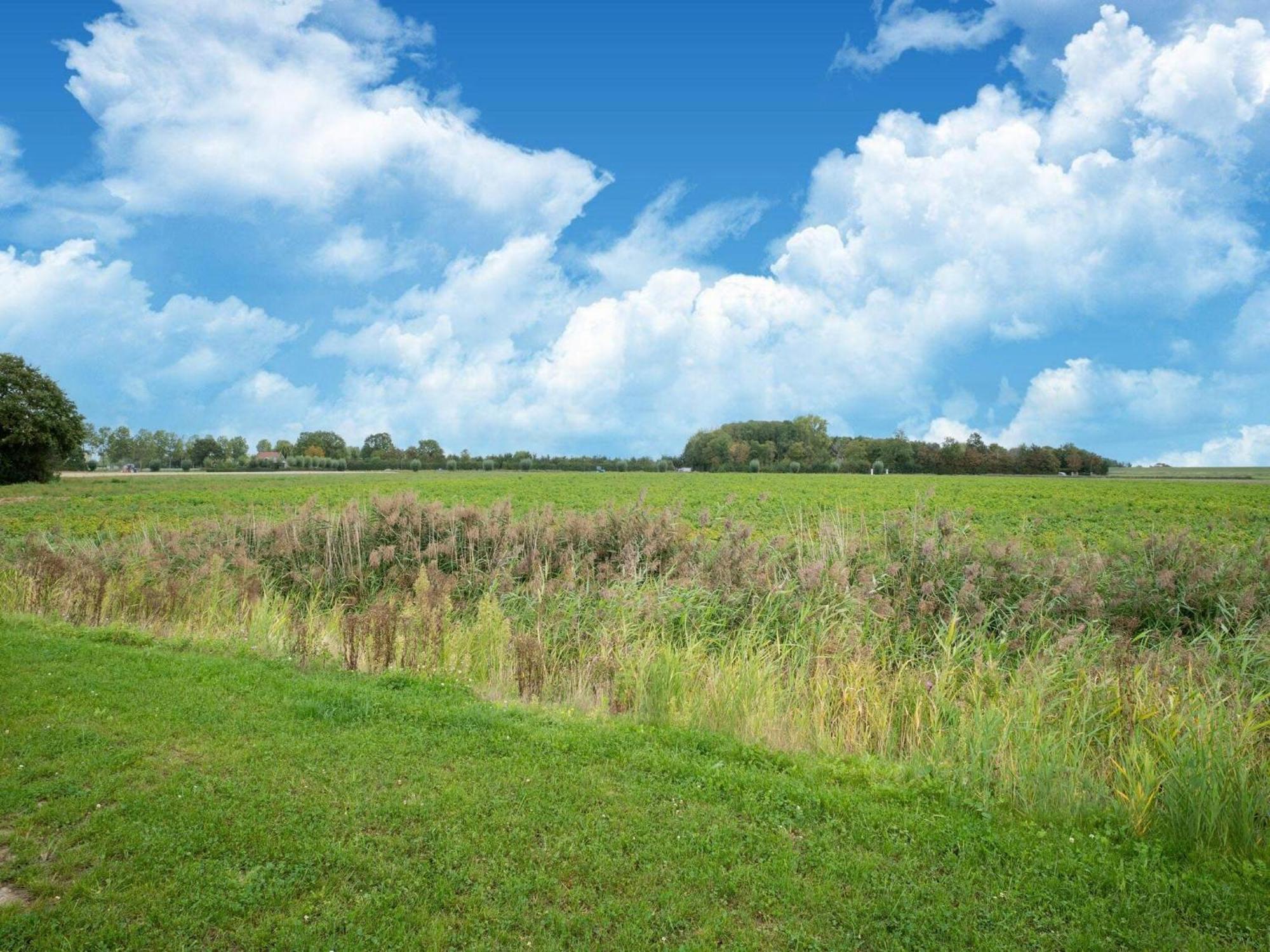 Holiday Home In Scherpenisse Eksteriør billede